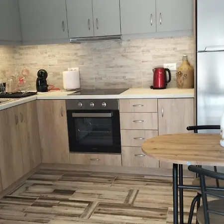 펜션 Vikou House